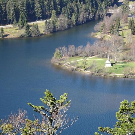 Вилла Chalet La Petite Perle Жерарме Экстерьер фото