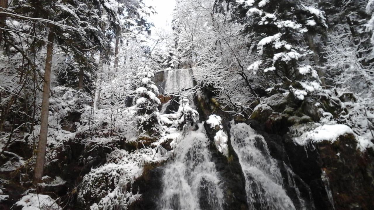 Вилла Chalet La Petite Perle Жерарме Экстерьер фото