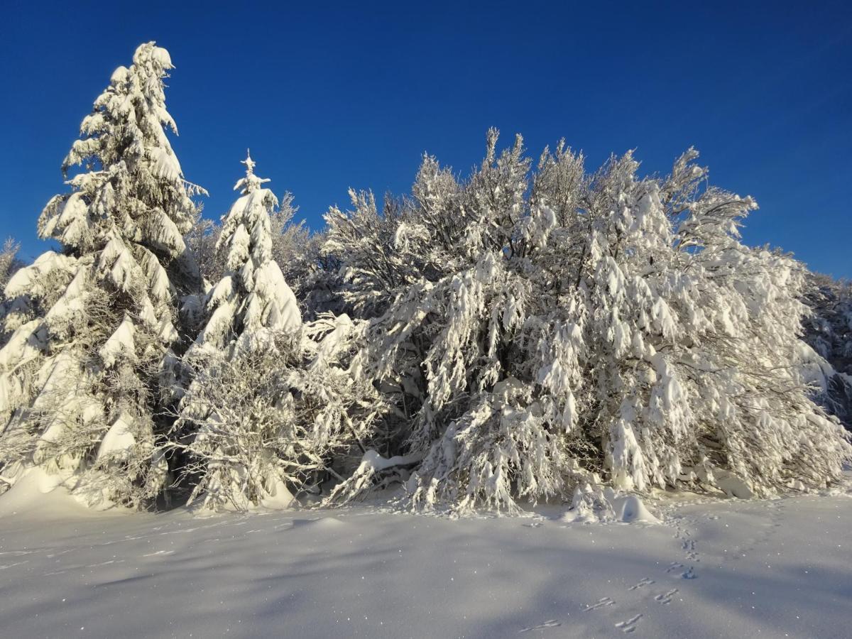 Вилла Chalet La Petite Perle Жерарме Экстерьер фото