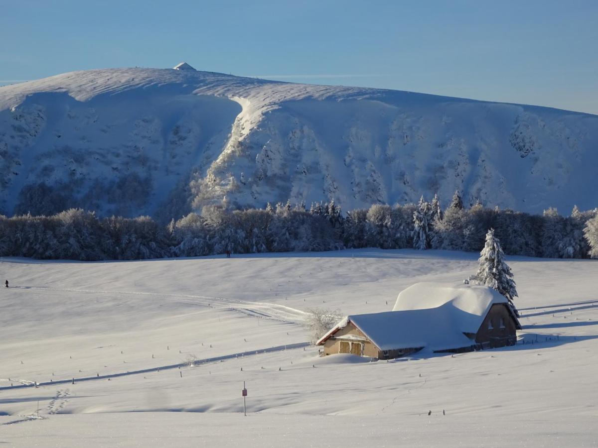 Chalet La Petite Perle Жерарме Экстерьер фото